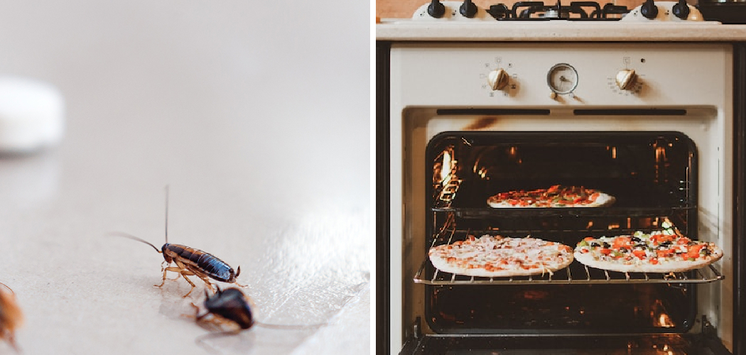 How to Get Rid of Roaches in a Microwave Oven