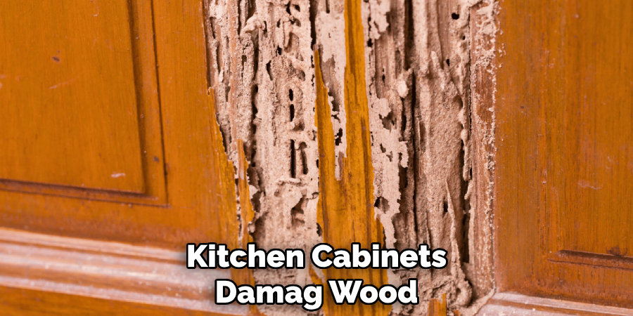 Kitchen Cabinets Damag Wood