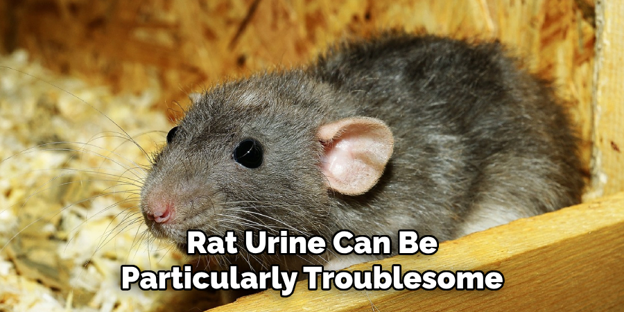 Rat Urine Can Be Particularly Troublesome