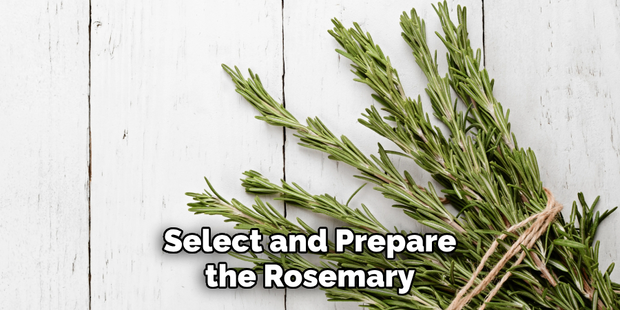 Select and Prepare the Rosemary