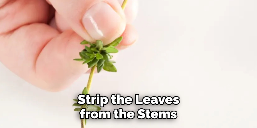 Strip the Leaves from the Stems