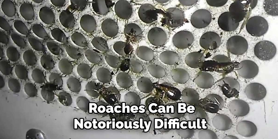 Roaches Can Be Notoriously Difficult