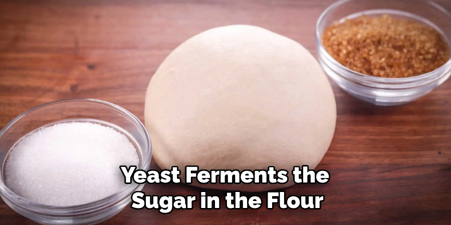 Yeast Ferments the 
Sugar in the Flour