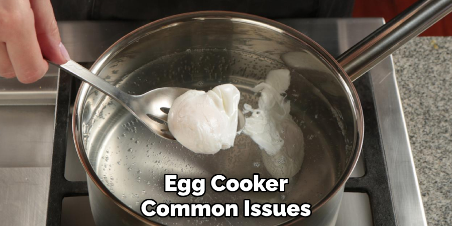 Egg Cooker
Common Issues