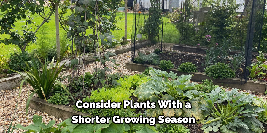 Consider Plants With a Shorter Growing Season