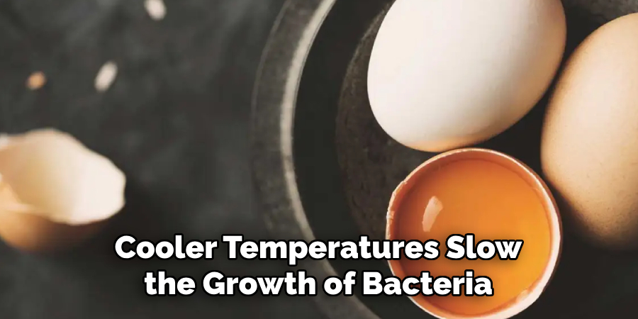 Cooler Temperatures Slow the Growth of Bacteria