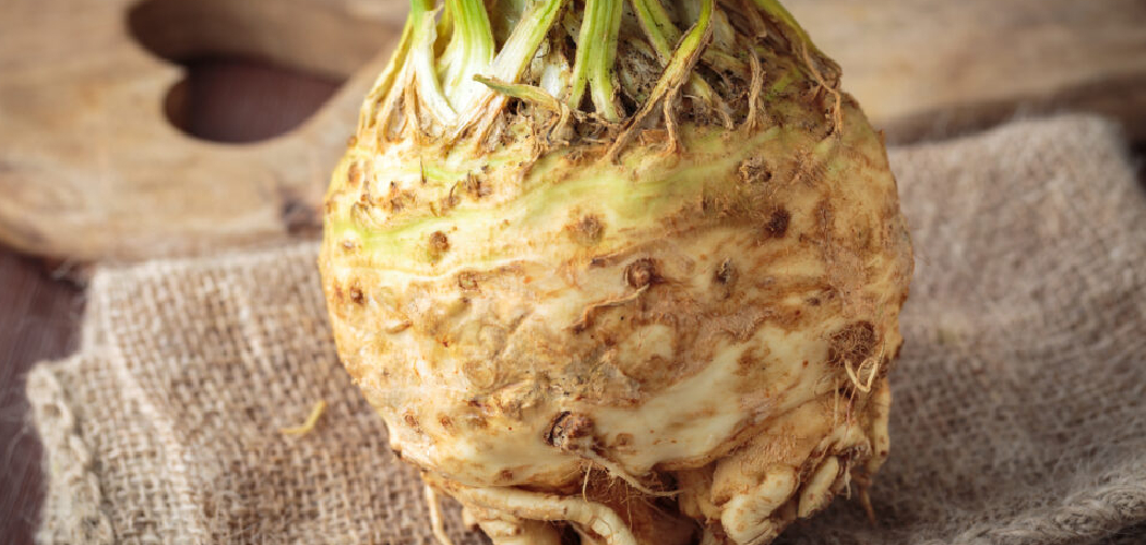 How to Store Celeriac
