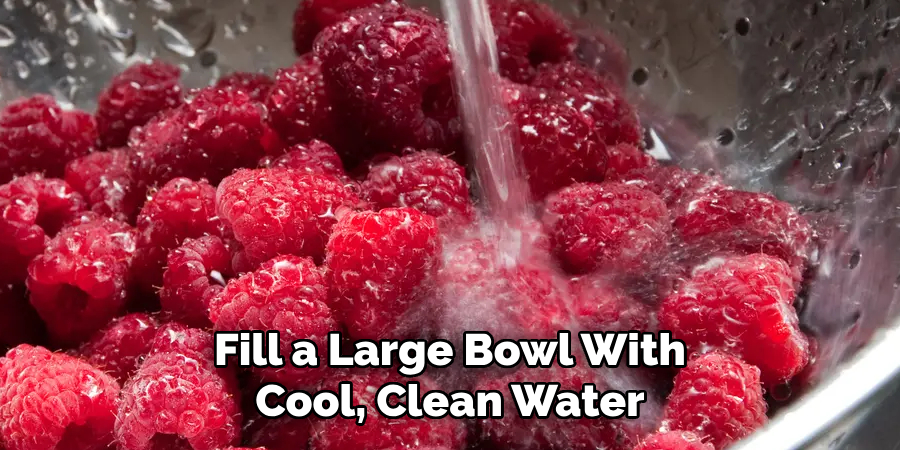Fill a Large Bowl With Cool, Clean Water
