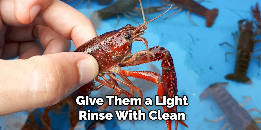 Give Them a Light Rinse With Clean