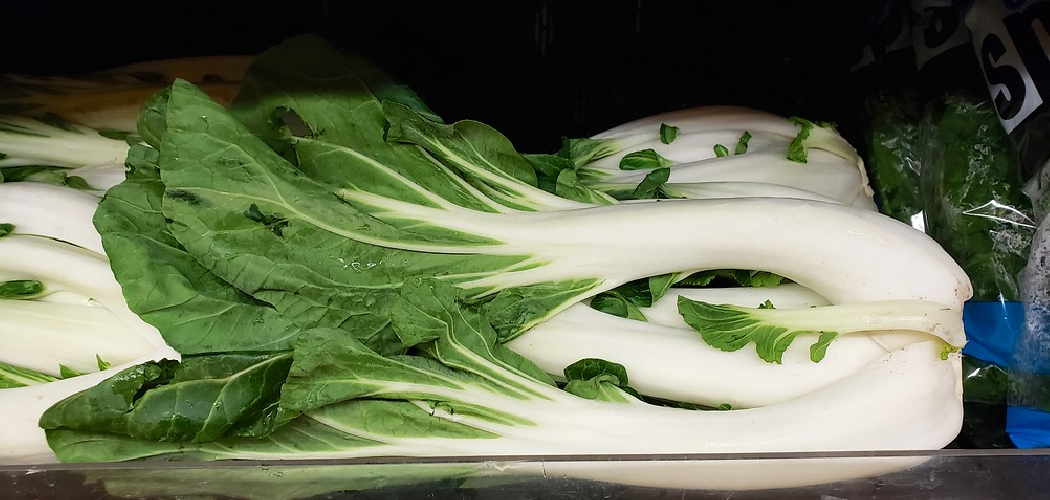 How to Store Bok Choy Long Term