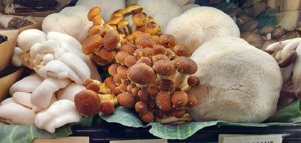 How to Store Lion's Mane Mushrooms