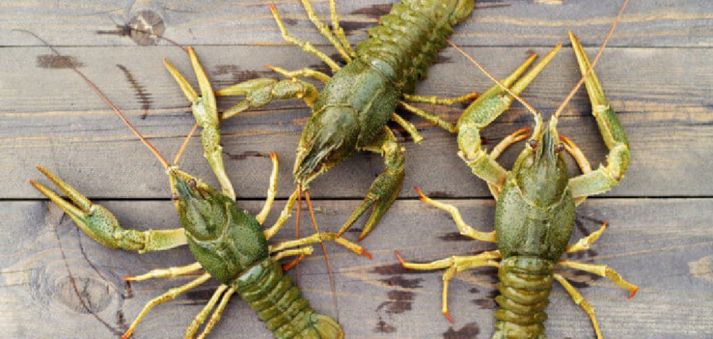 How to Store Live Crawfish Overnight