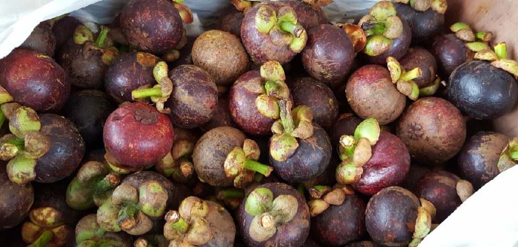 How to Store Mangosteen