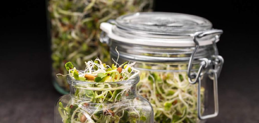 How to Store Sprouts