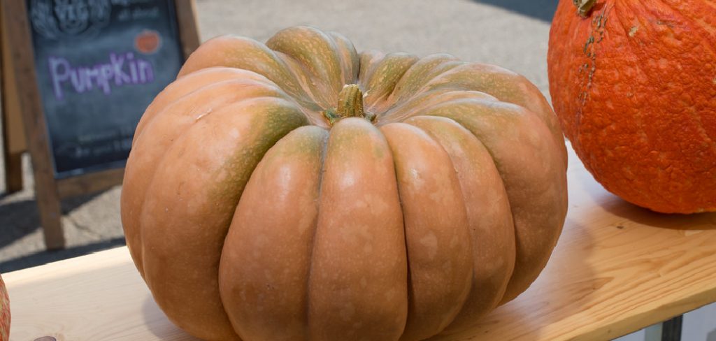 How to Store Squash in the Freezer