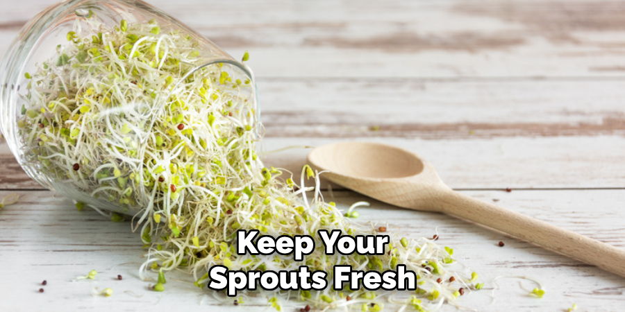 Keep Your Sprouts Fresh