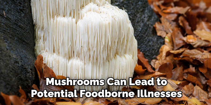 Mushrooms Can Lead to Potential Foodborne Illnesses