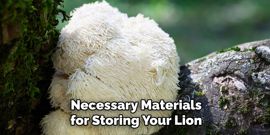 Necessary Materials for Storing Your Lion