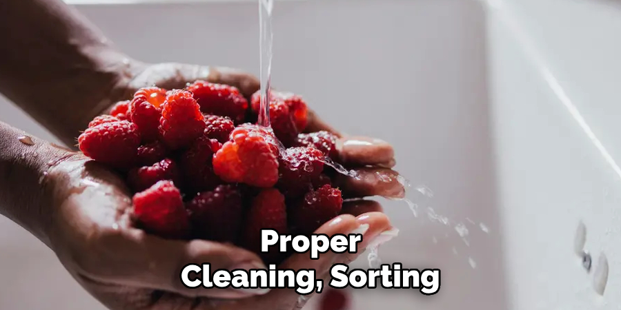 Proper Cleaning, Sorting