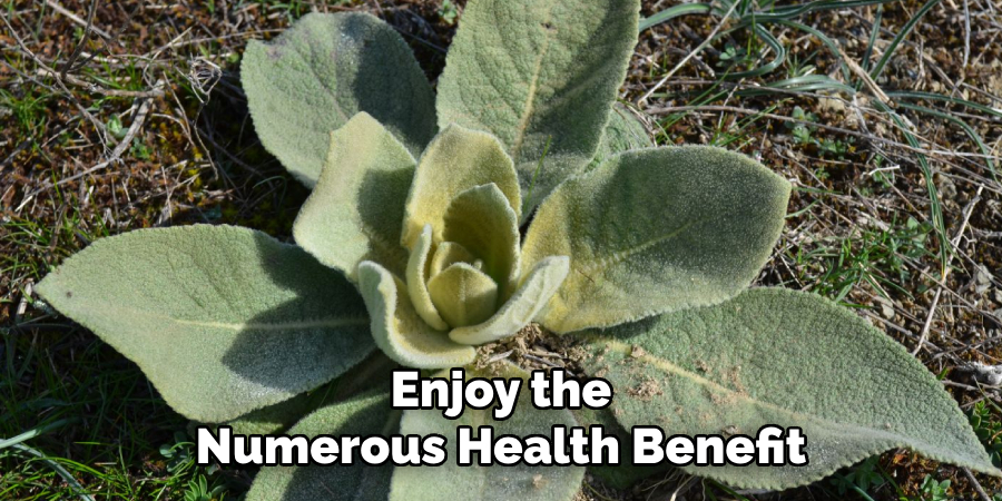 Enjoy the
Numerous Health Benefit