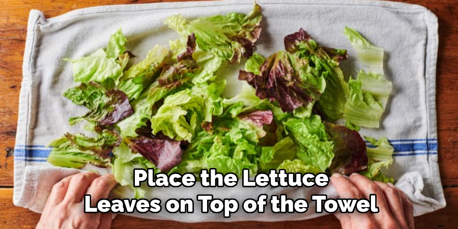 Place the Lettuce Leaves on Top of the Towel