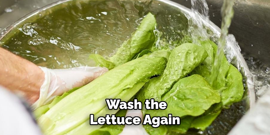 Wash the Lettuce Again