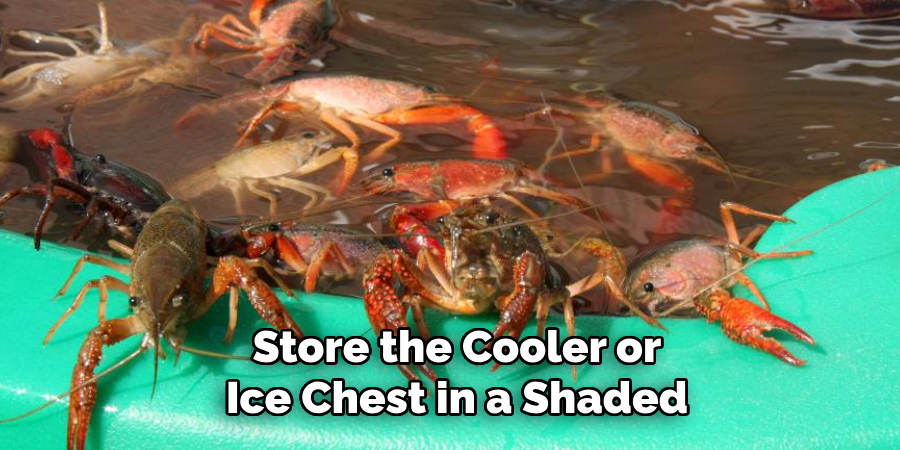 Store the Cooler or Ice Chest in a Shaded