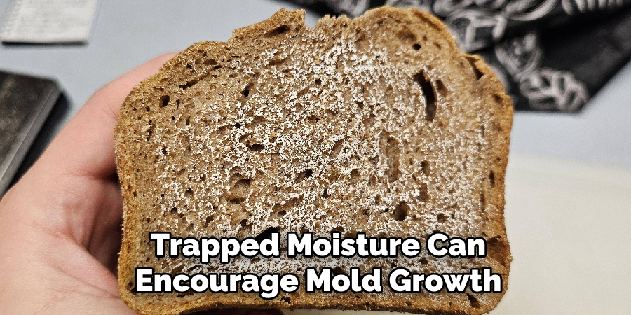 Trapped Moisture Can Encourage Mold Growth