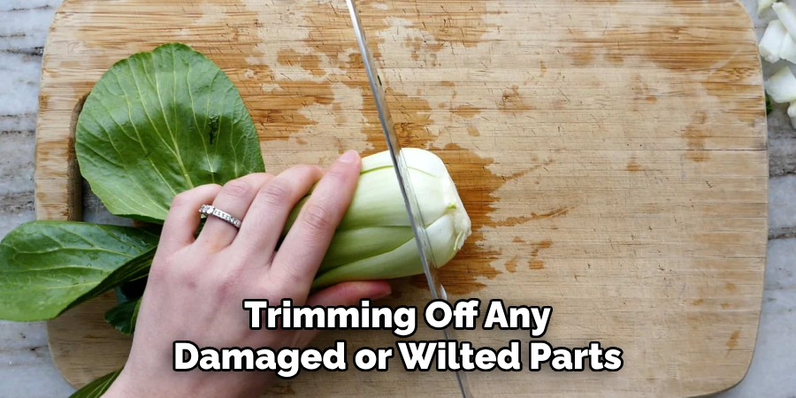 Trimming Off Any Damaged or Wilted Parts