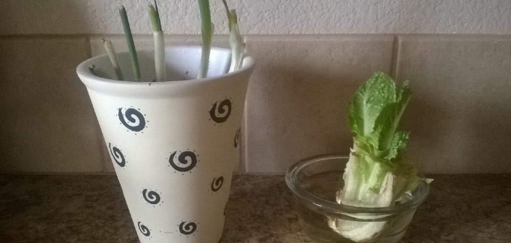 how to wash and store romaine lettuce