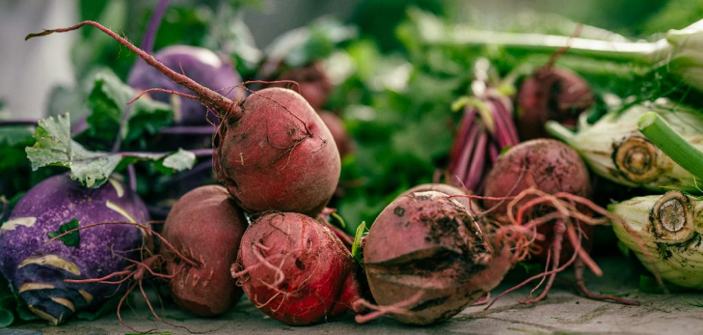 How to Store Beetroot