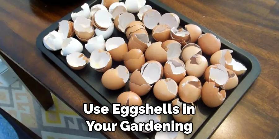 Use Eggshells in Your Gardening
